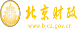 操鸡网站北京市财政局